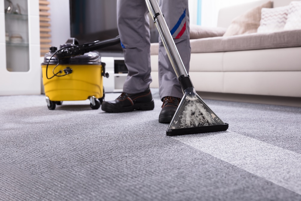 Carpet Cleaning Auckland carpet cleaning Auckland