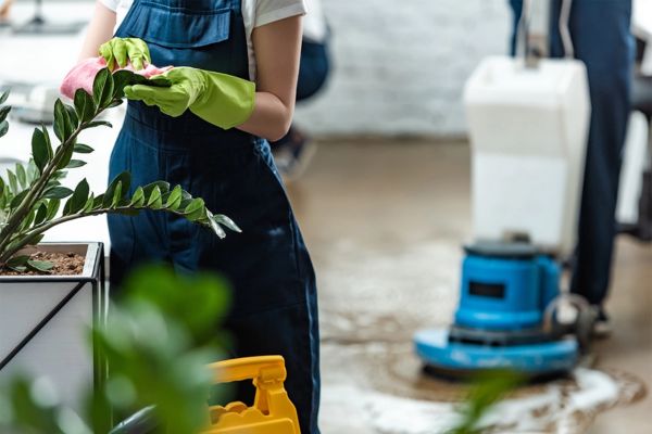End of Tenancy Cleaning Auckland end of tenancy cleaning auckland