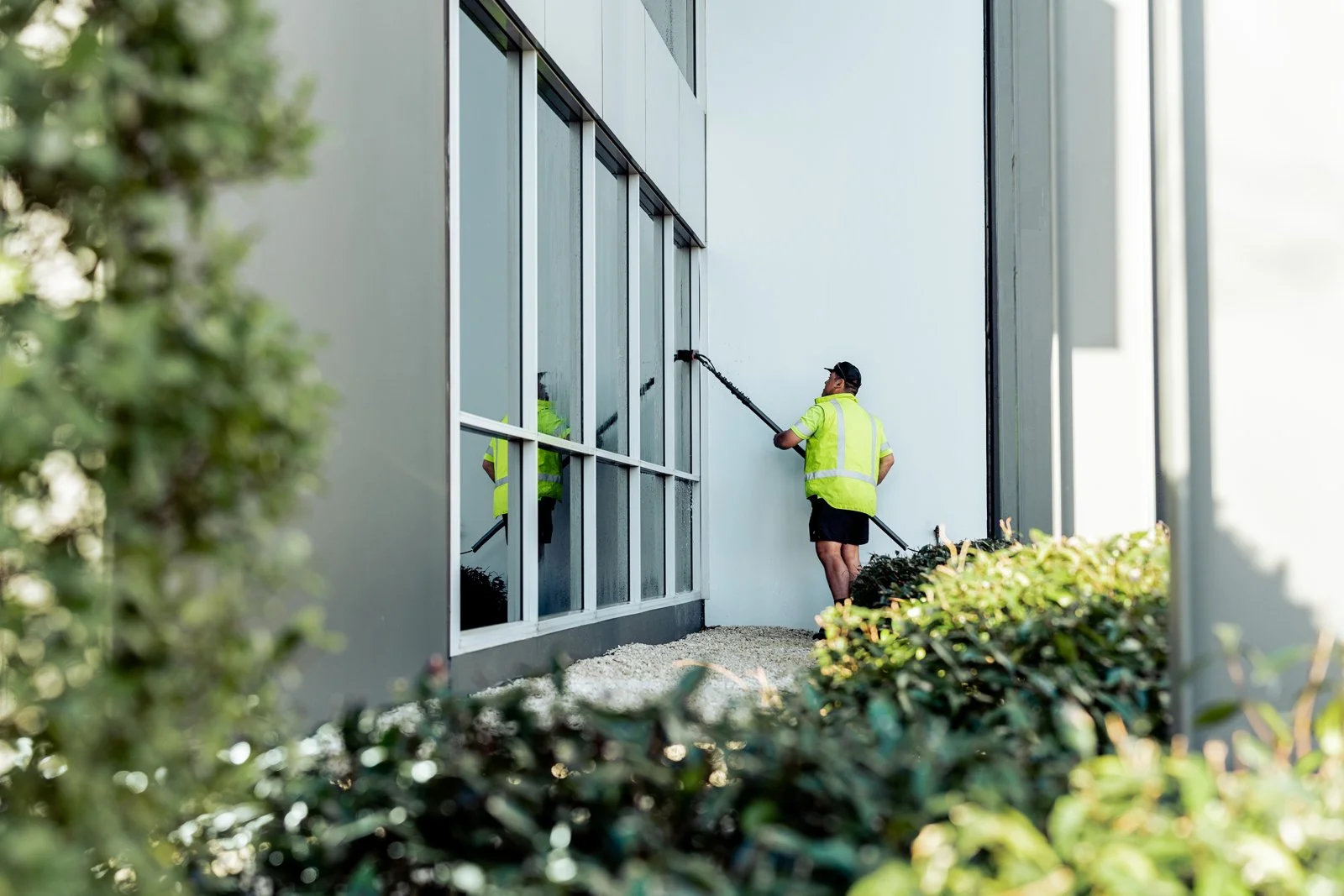 wndow cleaning auckland