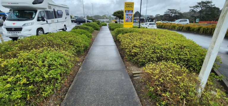 PROFFESIONAL GARDEN CLEANING AUCKLAND