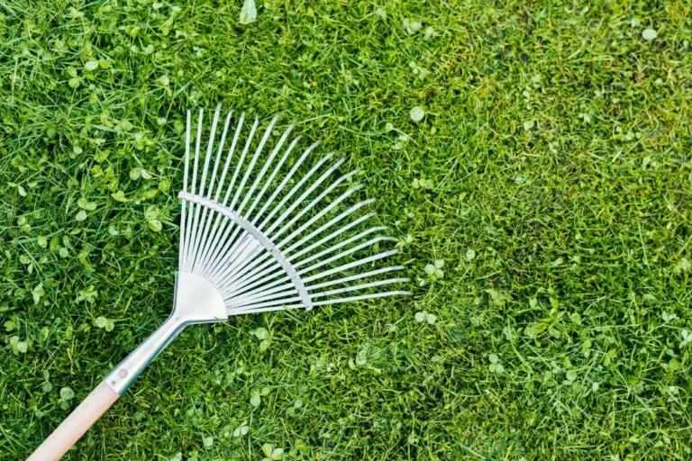 Green Waste Removal Auckland Green Waste Removal Auckland