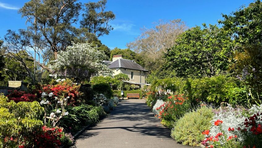 Gardening Services Auckland