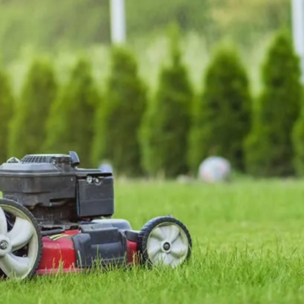 lawn mowing services