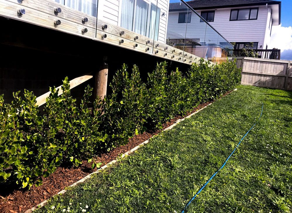 Gardening Services Auckland