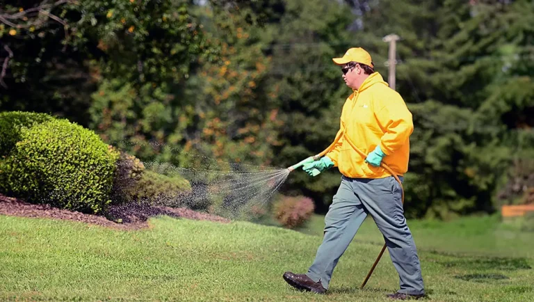 Gardening Services Auckland