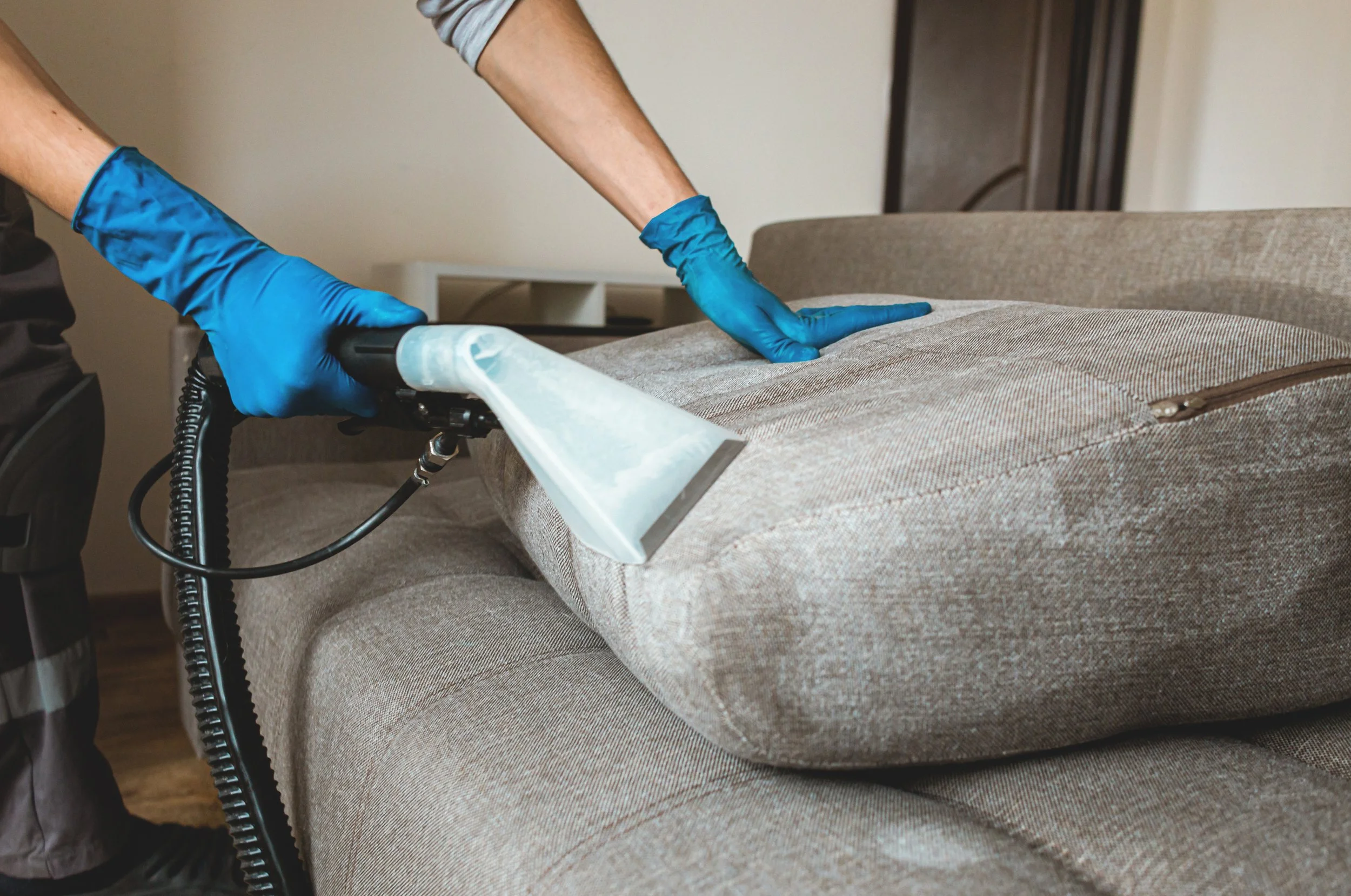 Upholstery Cleaning Auckland