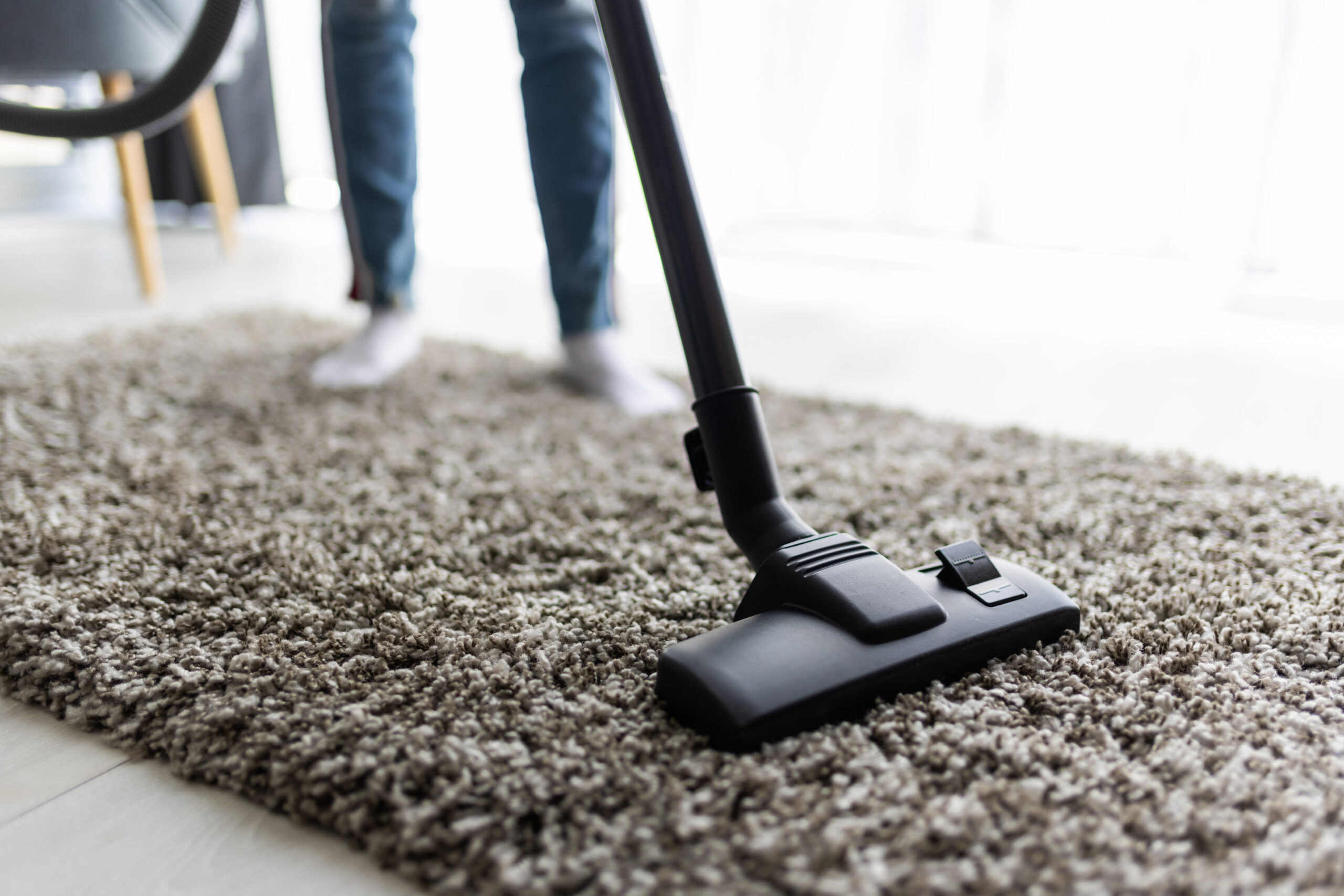How to Clean Carpet Pad Mold Carpet Pad Cleaning