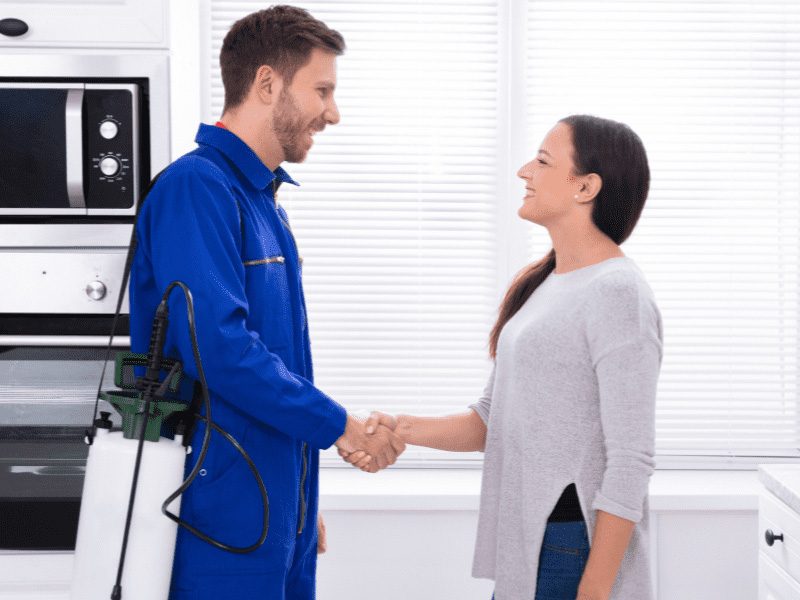 Pest Control Auckland