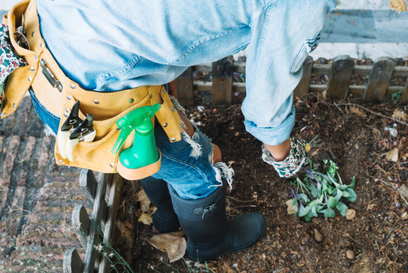 Drain Cleaning Auckland
