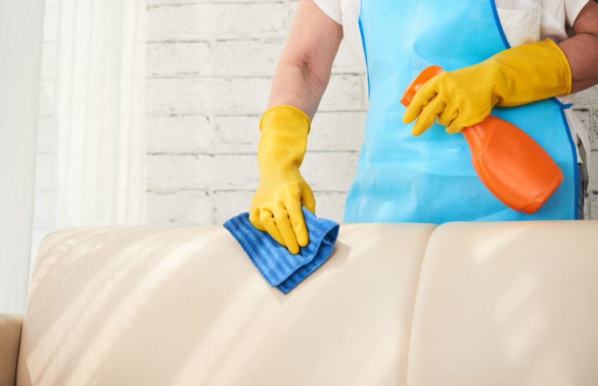 couch cleaning Auckland