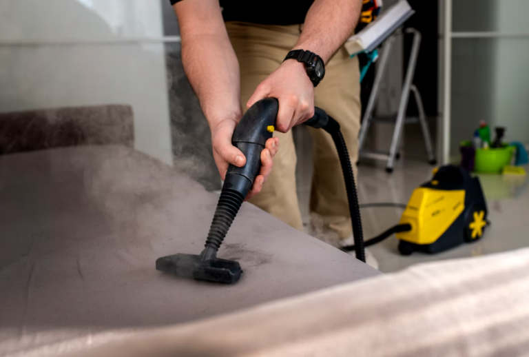 couch cleaning Auckland