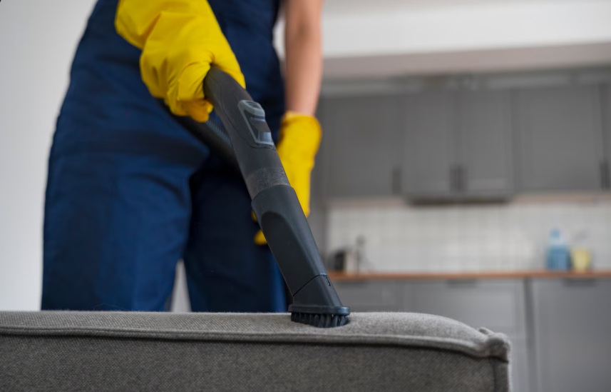 Couch Cleaning Auckland