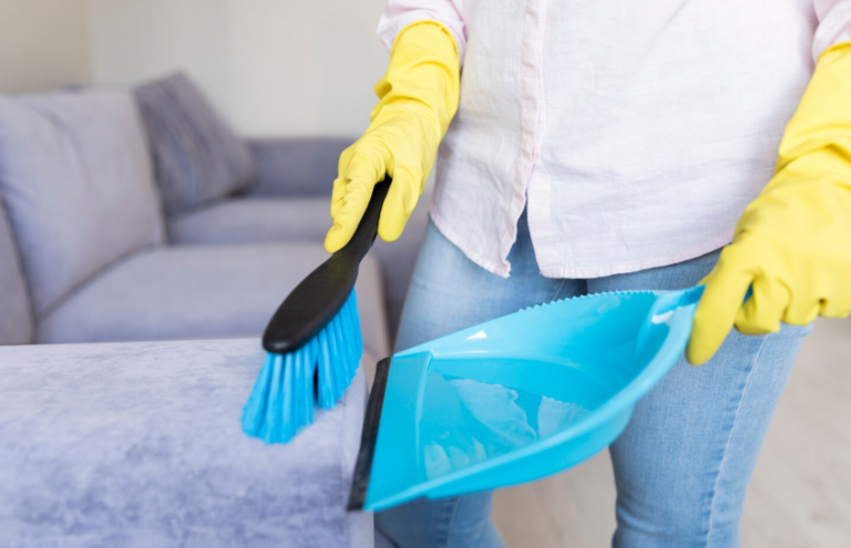 Couch Cleaning Auckland