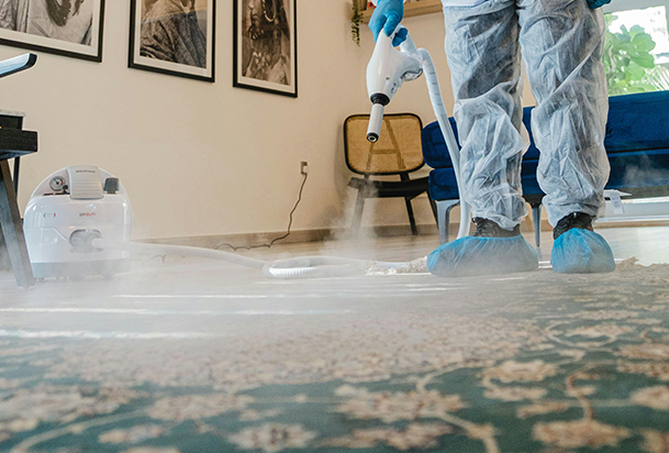 Floor Care & Carpet Cleaning Auckland​