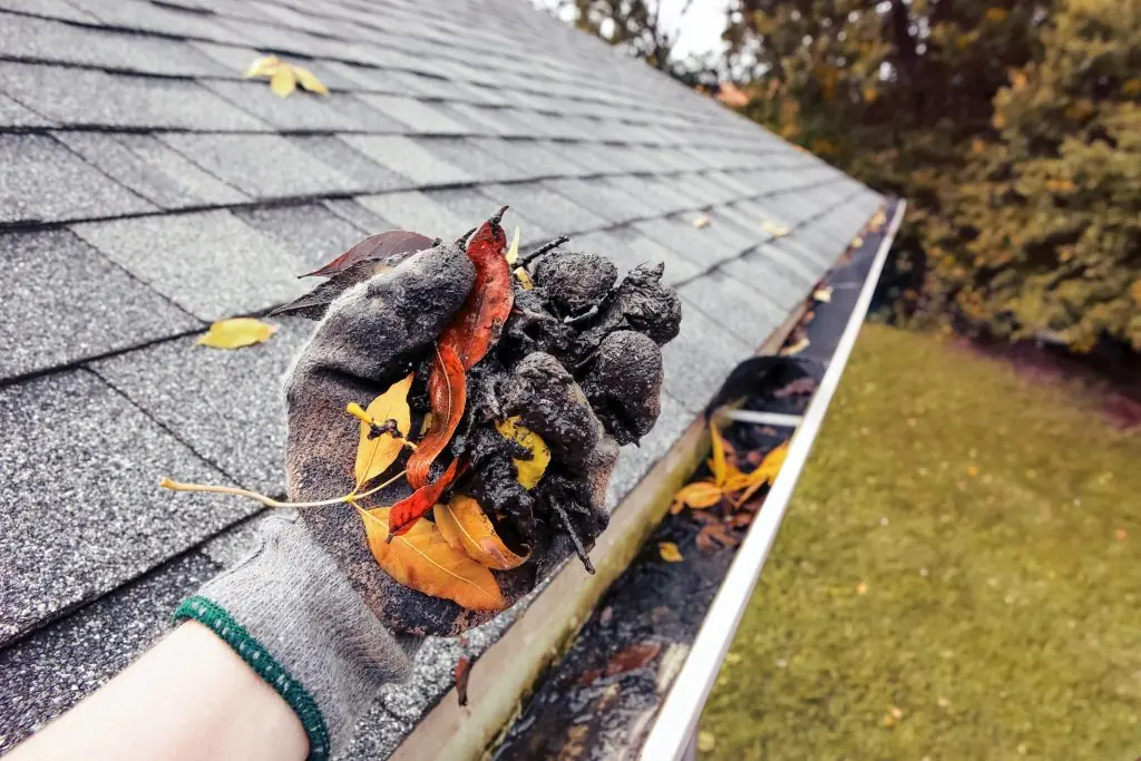 Importance of Gutter Cleaning Christchurch
