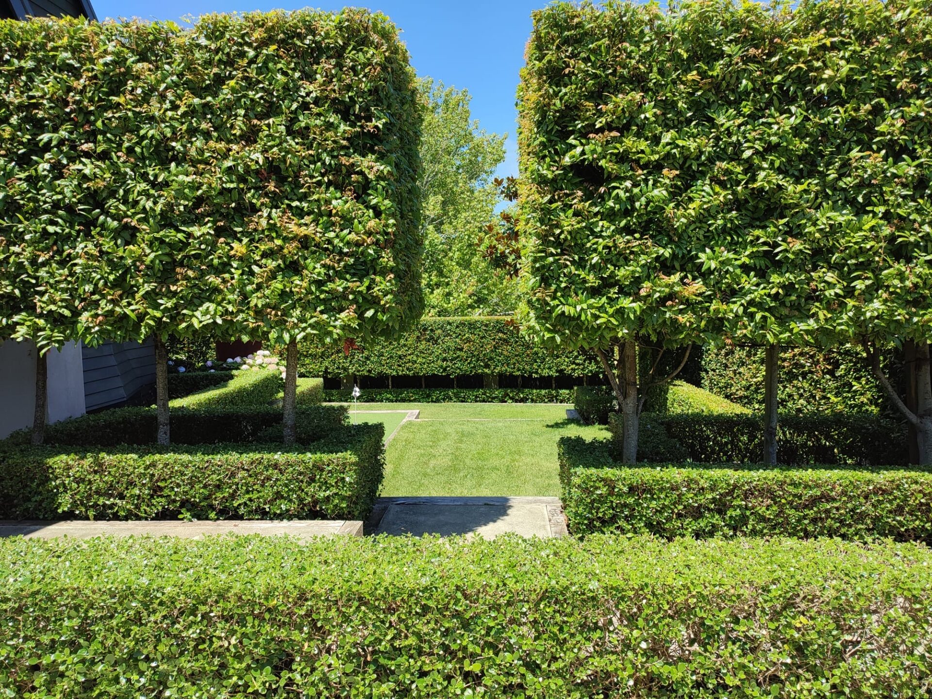 Auckland lawn mowing service
