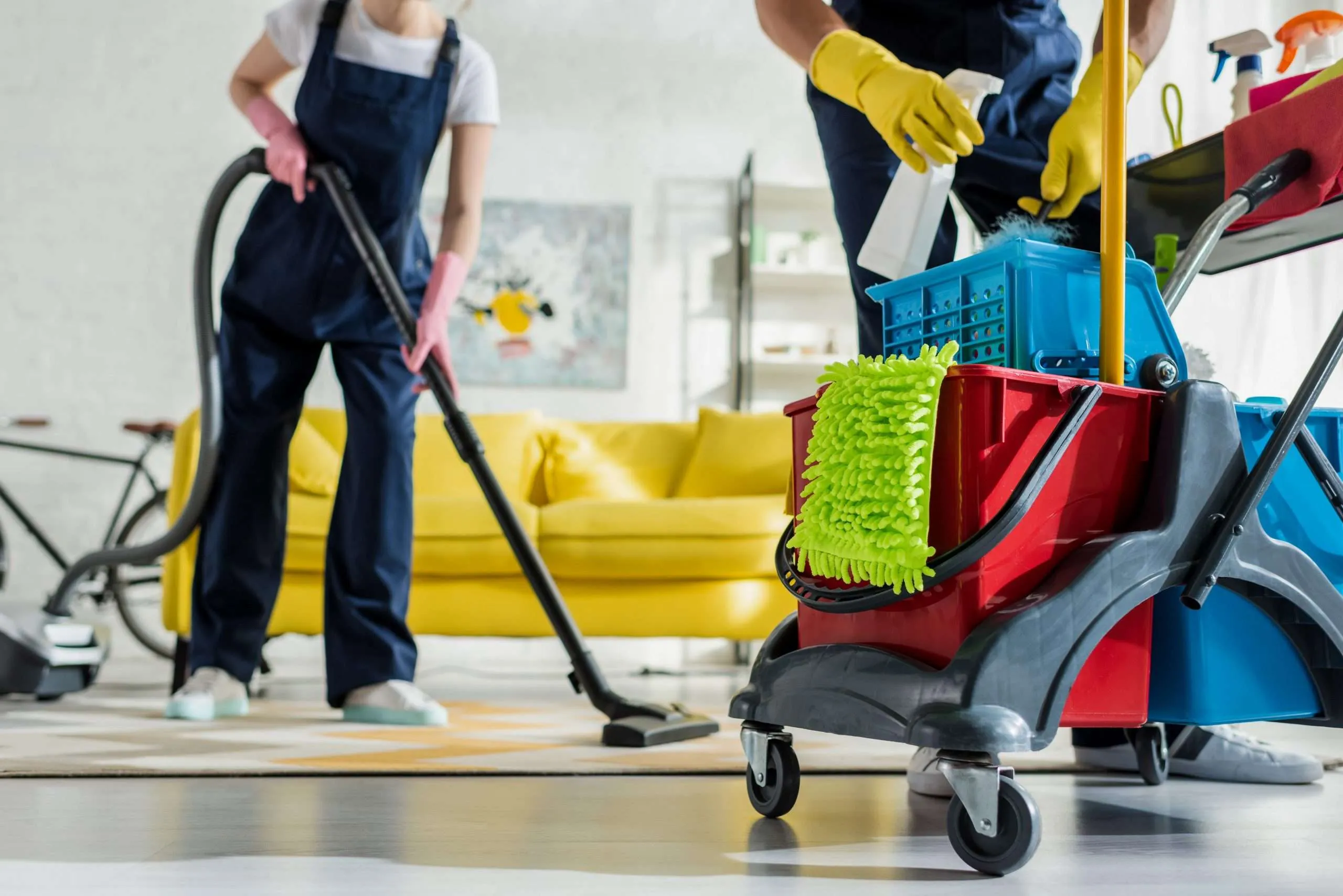 Home Cleaning Services in St Heliers