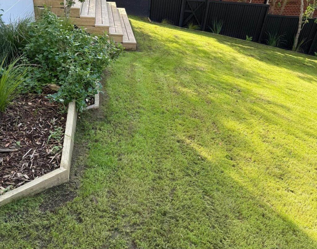 Lawn trimming and maintenance
