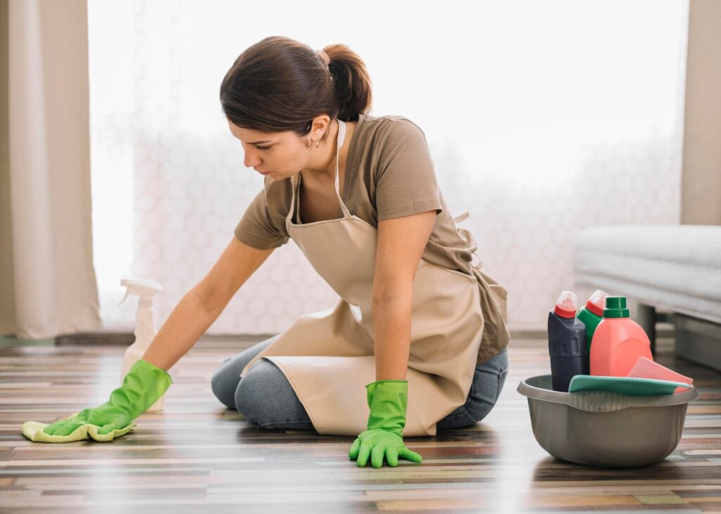 Professional home cleaners