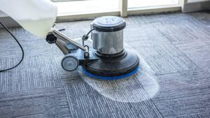 Cleaning Services for Water-Damaged Carpets