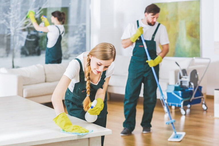 Carpet cleaning for rental home Christchurch