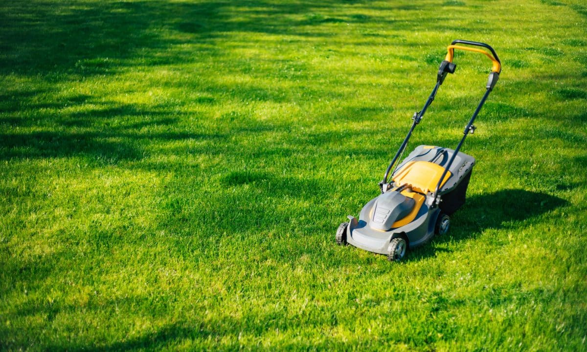 Lawn mowing cost in Auckland