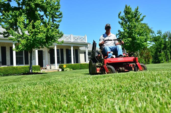 Professional lawn mowing Auckland